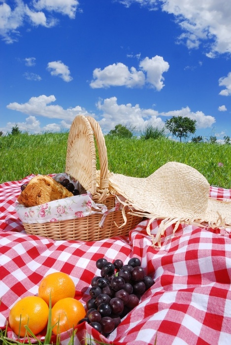 Piknik Ekologiczny